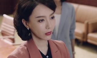 完美关系曾经哪一年播过 完美关系共多少集