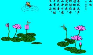 小池诗配画 小池诗配画