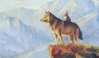 兔子爱上已婚的狼 兔子爱上已婚的狼