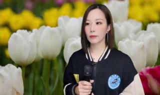 我为情哥唱情歌