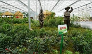 职业技能培训都有哪些方面 职业技术培训学校