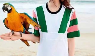 探索维多利亚的秘密是什么意思 维多利亚的秘密2009