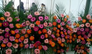 开鲜花店需要经过什么培训 学习开花店