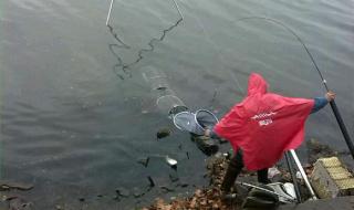 武汉钓鱼地方有哪些 武汉钓鱼圈