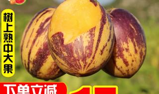 百斤亚洲人参什么价 一根新鲜人参价格