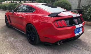 谢尔比眼镜蛇 谢尔比眼镜蛇