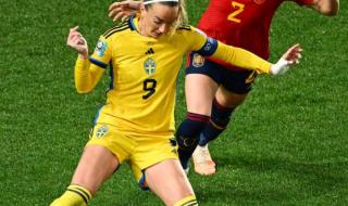 女足世界杯举办了几届 女足世界杯举办了几届